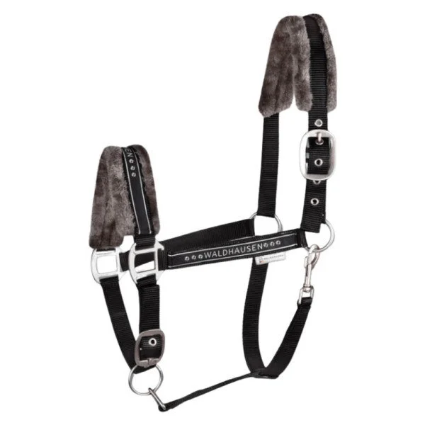 fundis-equestrian202607250049183299312