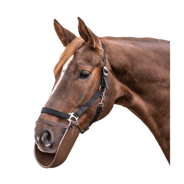 fundis-equestrian202607250050143299388