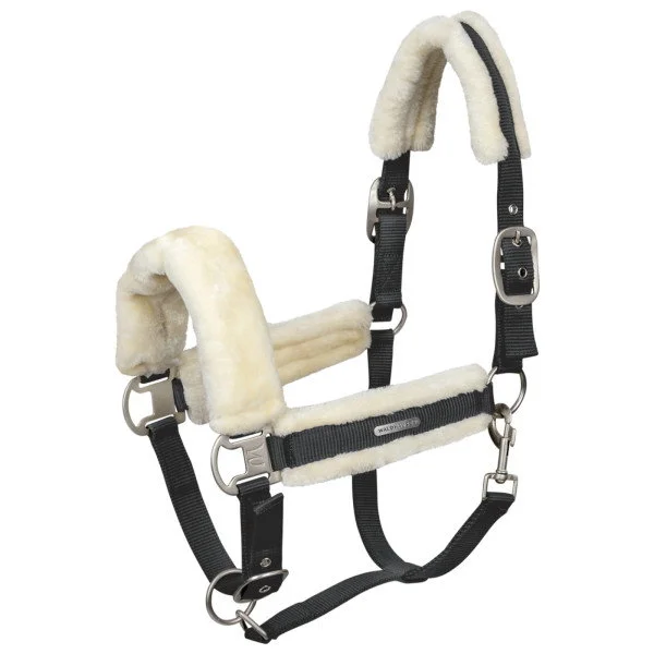 fundis-equestrian202607250050413299426