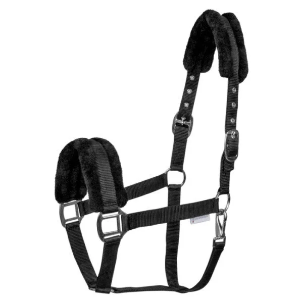 fundis-equestrian202607250050473299432