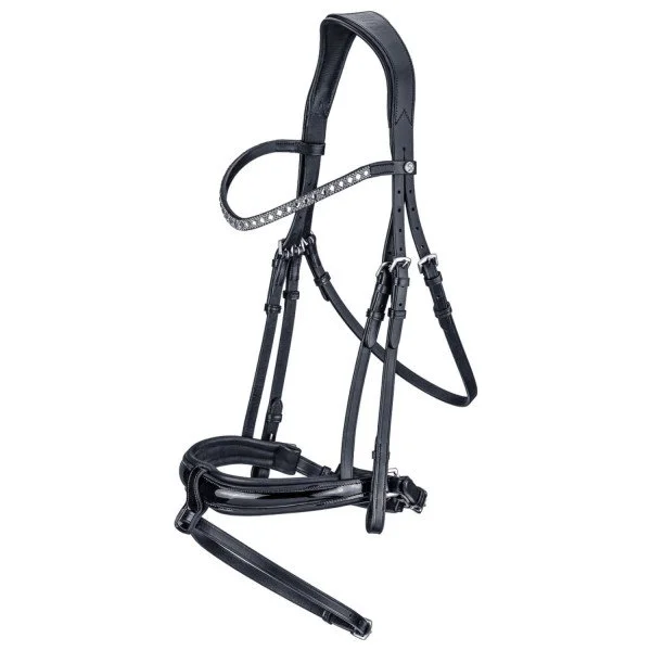 fundis-equestrian202607250052373299601