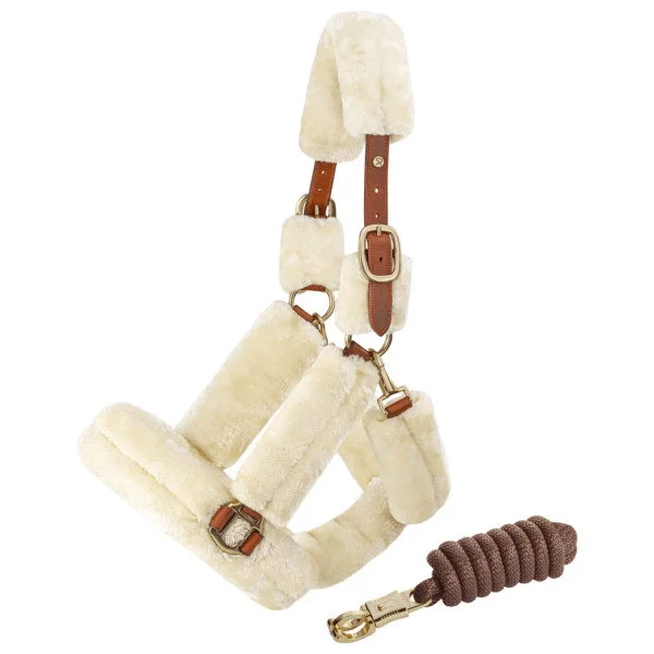 fundis-equestrian202607250052423299613