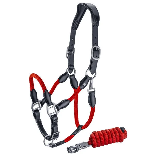 fundis-equestrian202607250052483299628