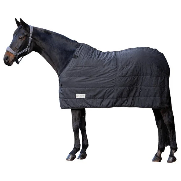 fundis-equestrian202607250058103300204