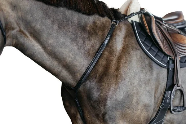 fundis-equestrian202607250059443300371