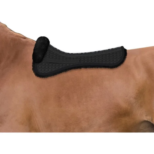 fundis-equestrian202607250100473300489