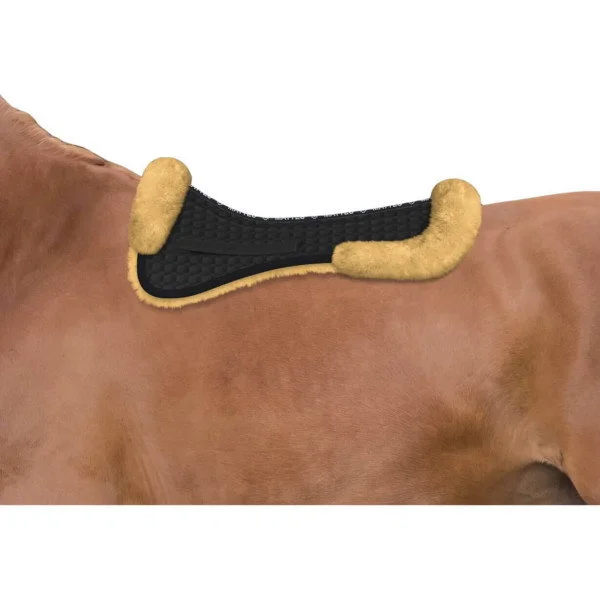fundis-equestrian202607250101133300538
