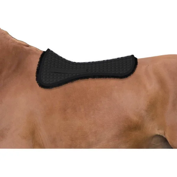 fundis-equestrian202607250102183300644