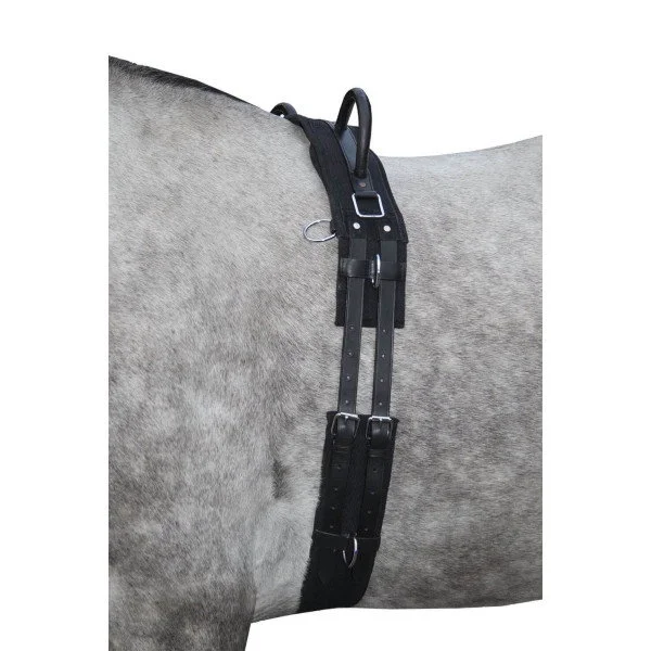 fundis-equestrian202607250104453300879