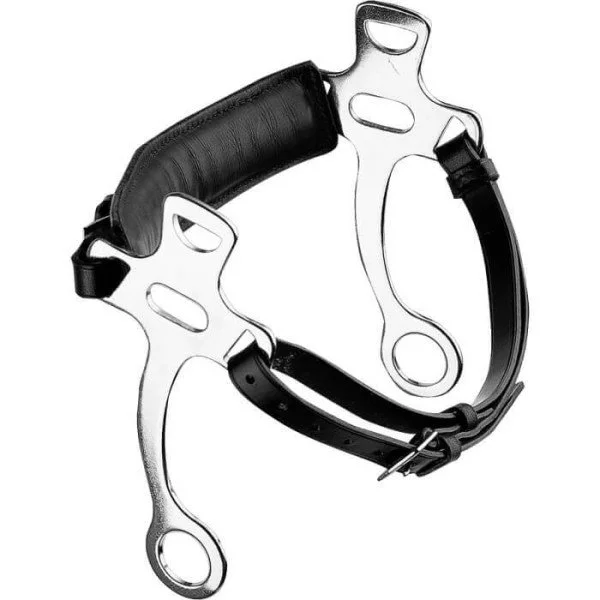 fundis-equestrian202607250105143300925
