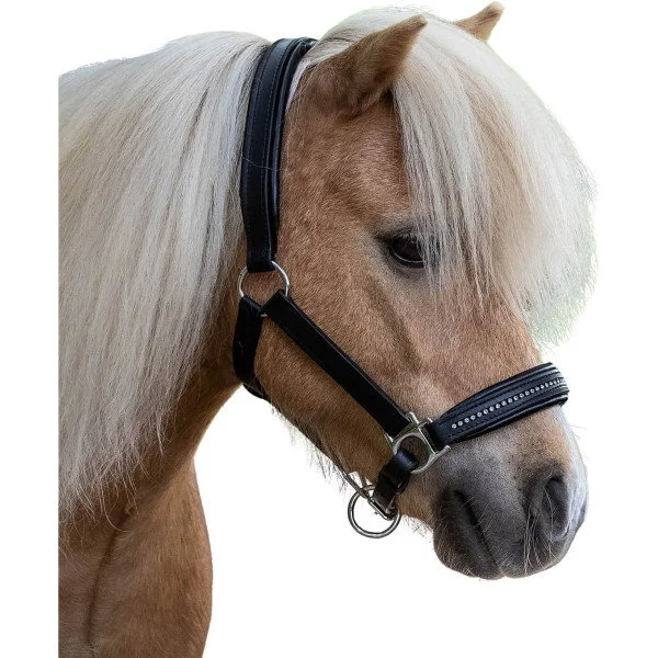 fundis-equestrian202607250108283301231