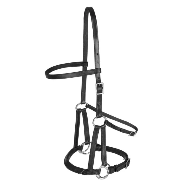 fundis-equestrian202607250108433301259