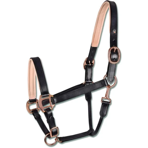 fundis-equestrian202607250110313301441