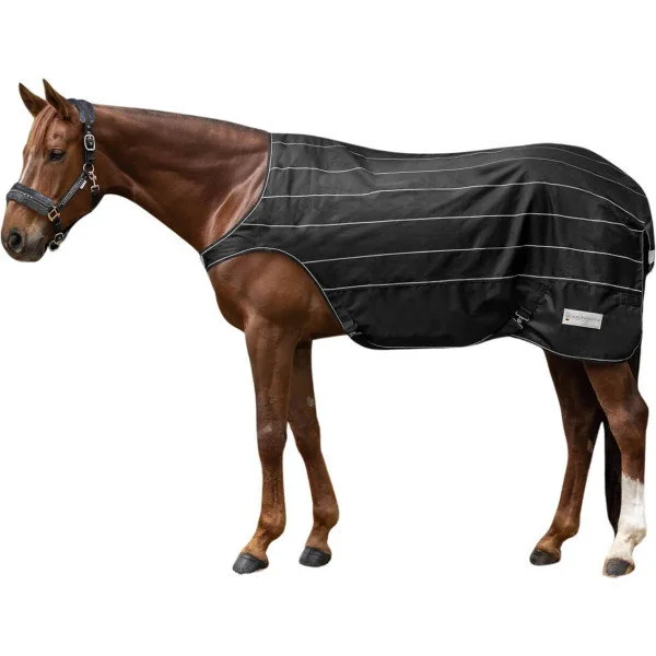 fundis-equestrian202607250111393301553