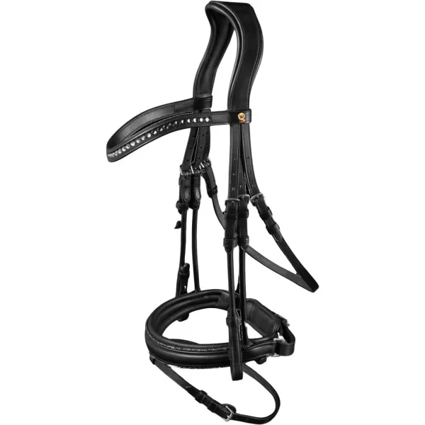 fundis-equestrian202607250111423301558
