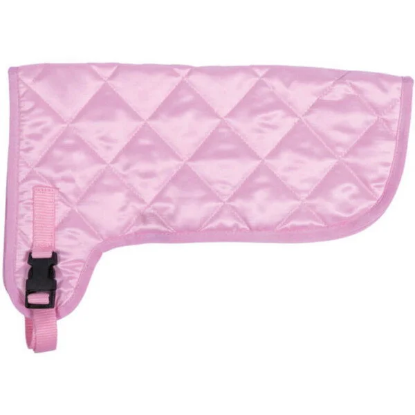 fundis-equestrian202607250111523301575