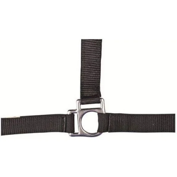 fundis-equestrian202607250112093301596