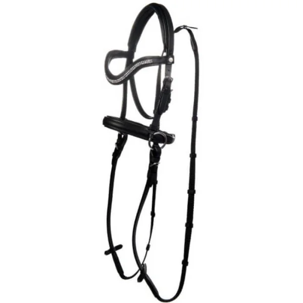 fundis-equestrian202607250112353301639