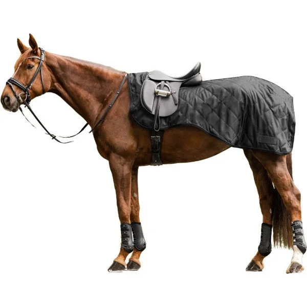 fundis-equestrian202607250112463301659