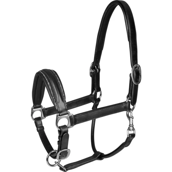 fundis-equestrian202607250112463301660
