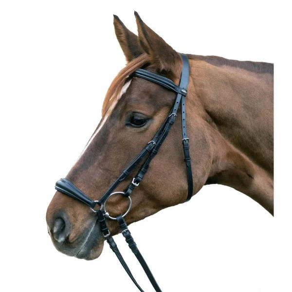 fundis-equestrian202607250112573301677
