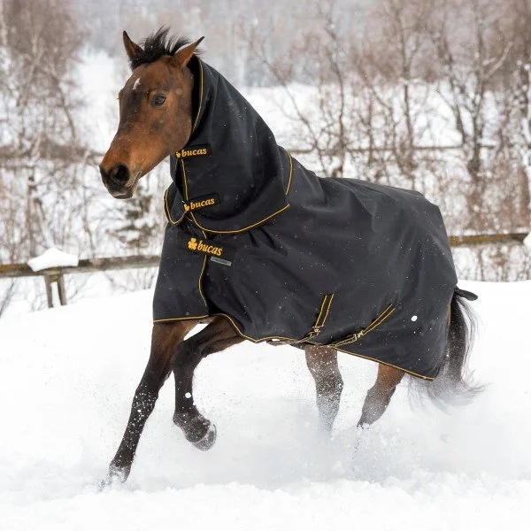 fundis-equestrian202607250117353302181