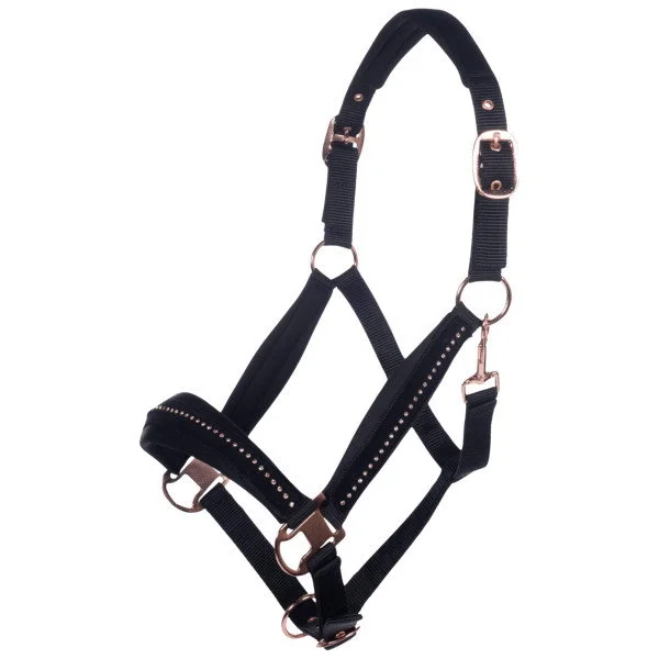 fundis-equestrian202607250117573302216