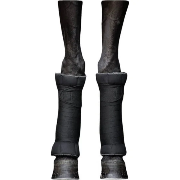 fundis-equestrian202607250118313302271