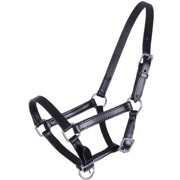 fundis-equestrian202607250120263302460