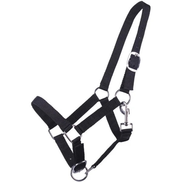 fundis-equestrian202607250120323302472