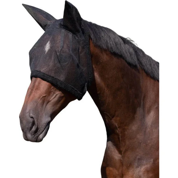 fundis-equestrian202607250121083302536