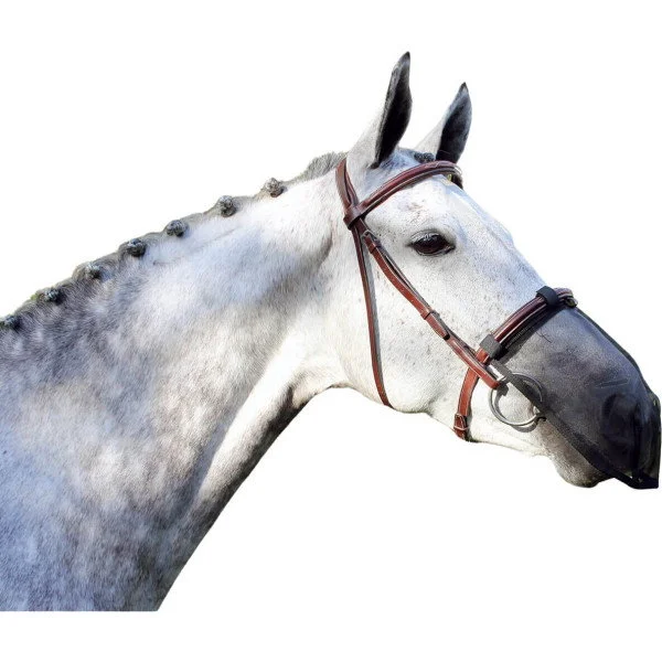 fundis-equestrian202607250121143302544