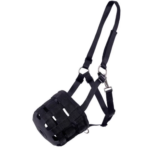 fundis-equestrian202607250121203302553