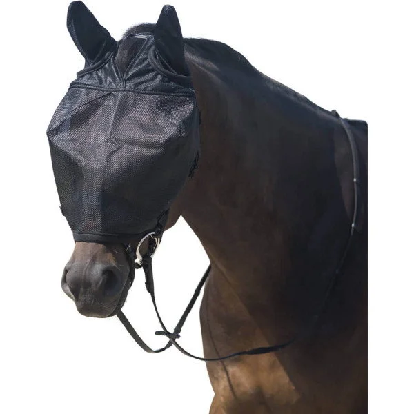 fundis-equestrian202607250121313302572