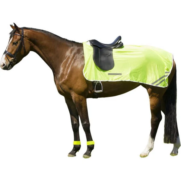 fundis-equestrian202607250123173302738