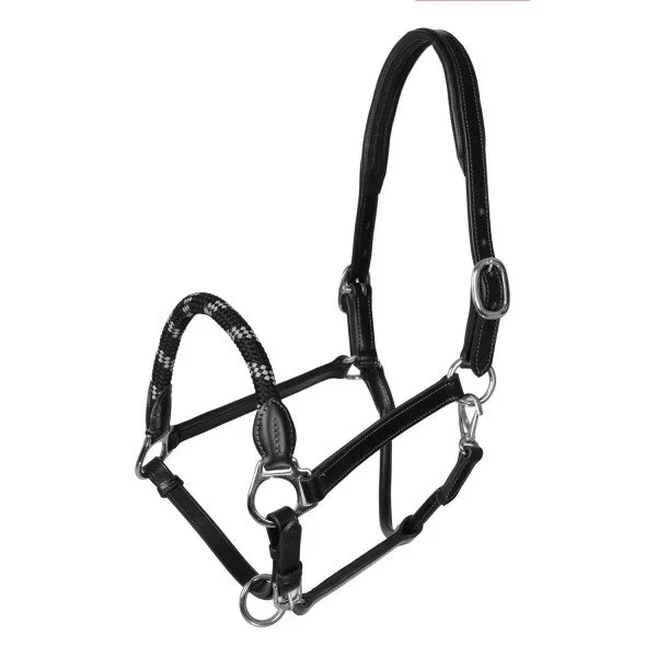 fundis-equestrian202607250123403302773