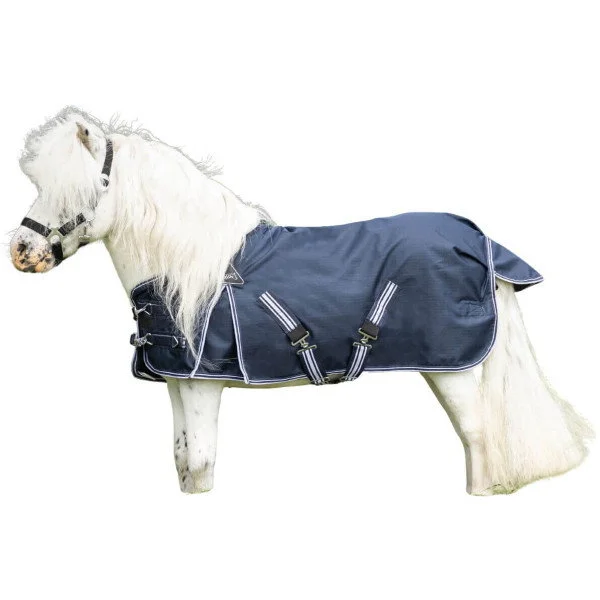fundis-equestrian202607250124053302808