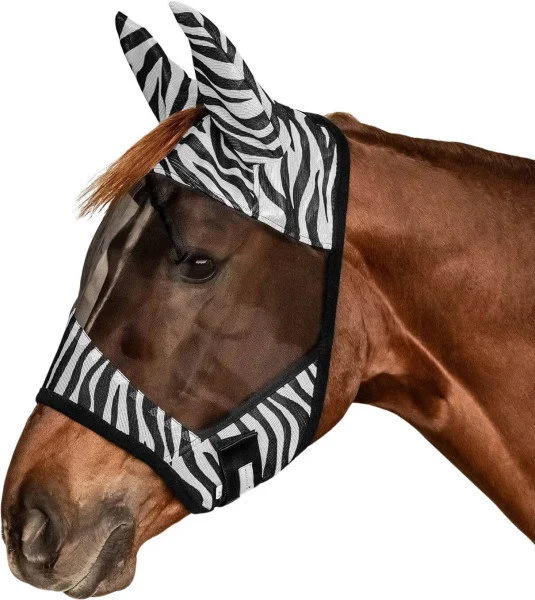 fundis-equestrian202607250125493302947