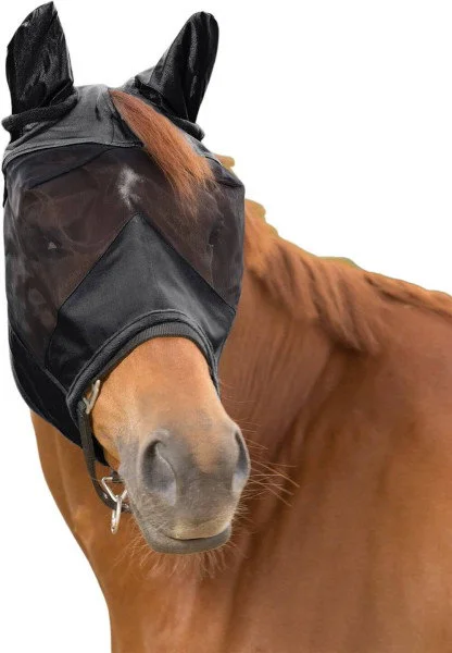 fundis-equestrian202607250125533302953