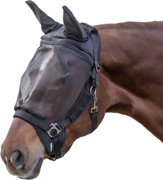 fundis-equestrian202607250126103302978