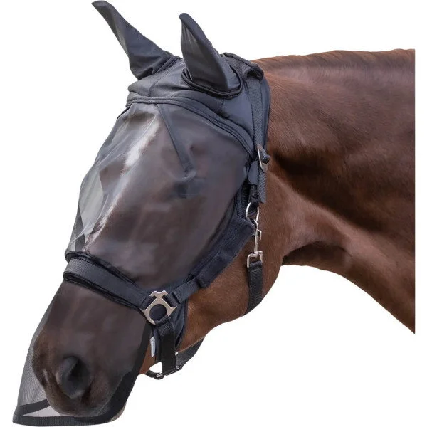 fundis-equestrian202607250126163302984