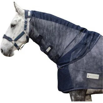 fundis-equestrian202607250126233302994