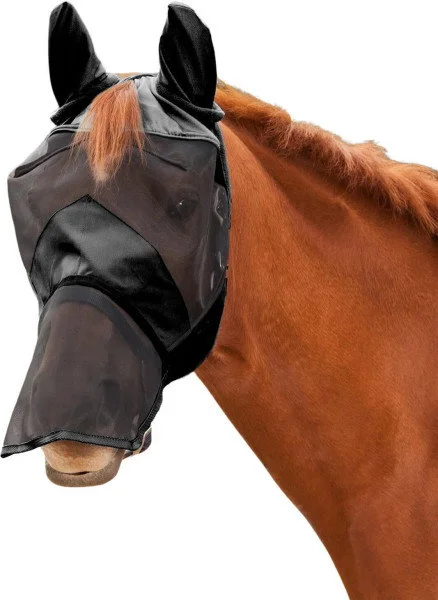 fundis-equestrian202607250126233302995