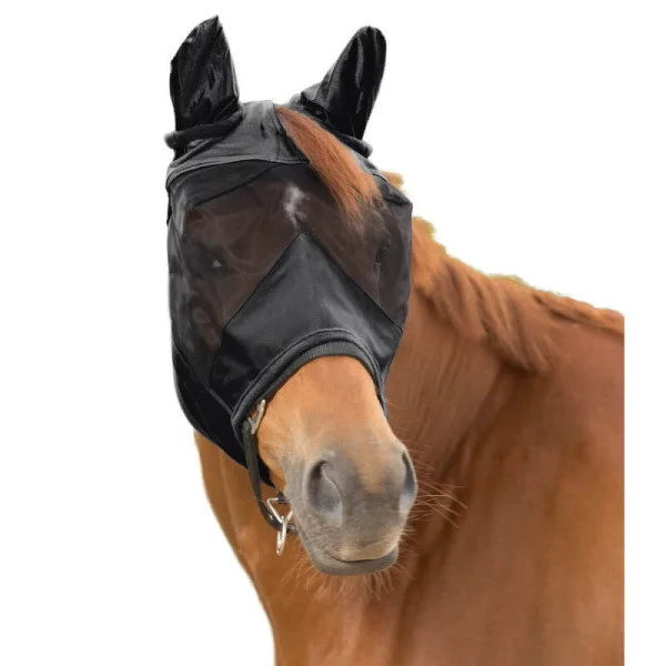 fundis-equestrian202607250127063303063