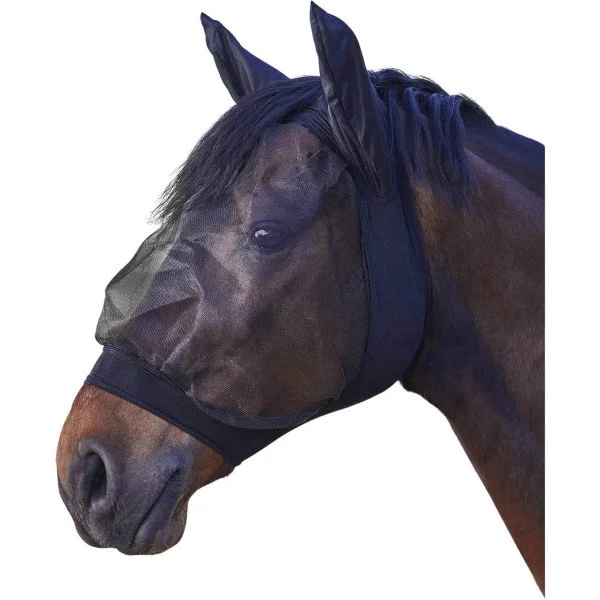 fundis-equestrian202607250127133303074