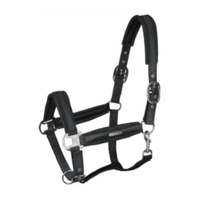 fundis-equestrian202607250127343303105