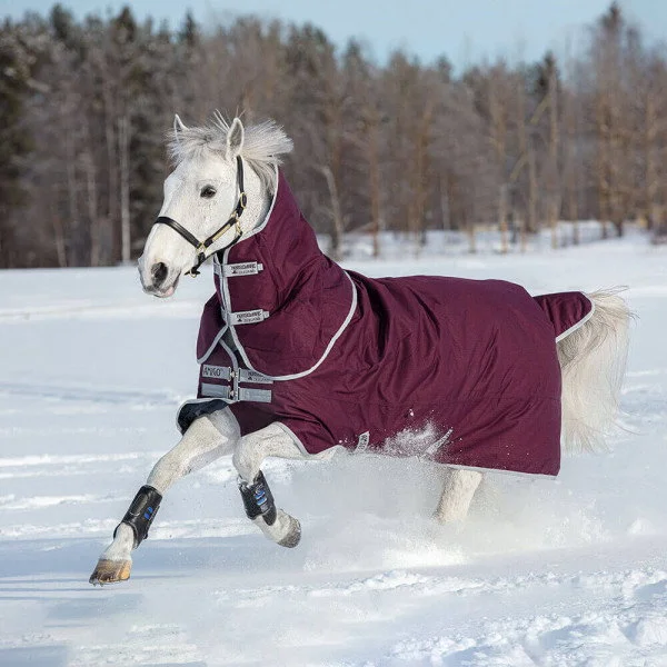 fundis-equestrian202607250130273303394