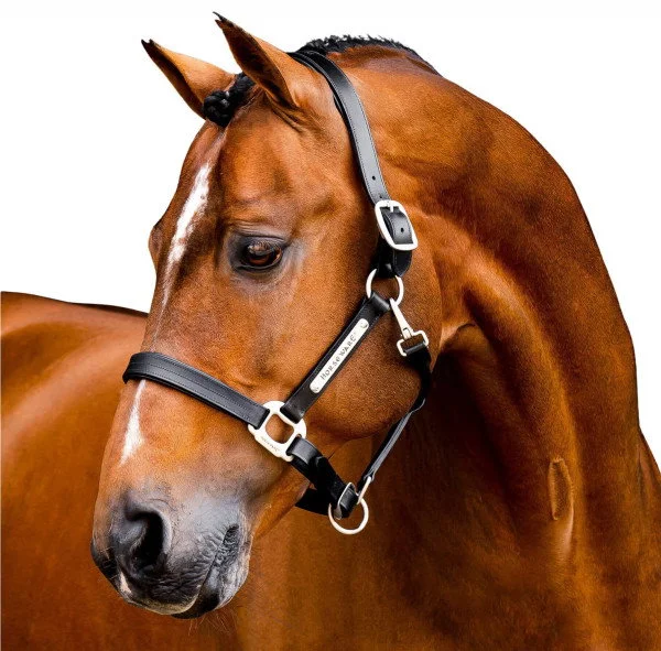 fundis-equestrian202607250132113303584