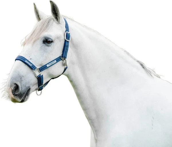 fundis-equestrian202607250132363303625