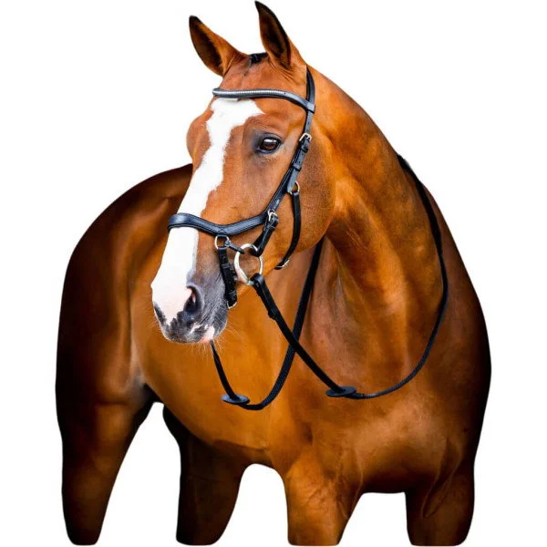fundis-equestrian202607250133163303697
